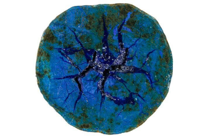 Vivid Blue, Cut/Polished Azurite & Malachite Nodule - Siberia #263229